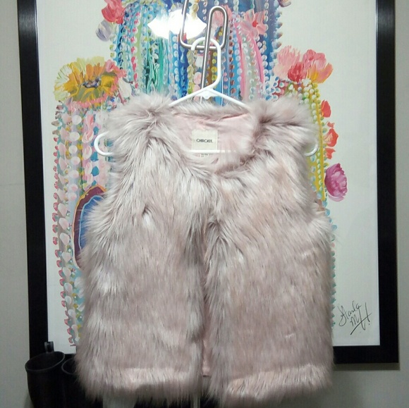 🔥NWOT Faux Fur Vest - Dusty Rose🔥 - Picture 3 of 8